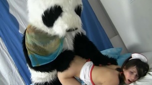 Cute fuzzy panda and a legal age teenager nurse have crazy sex